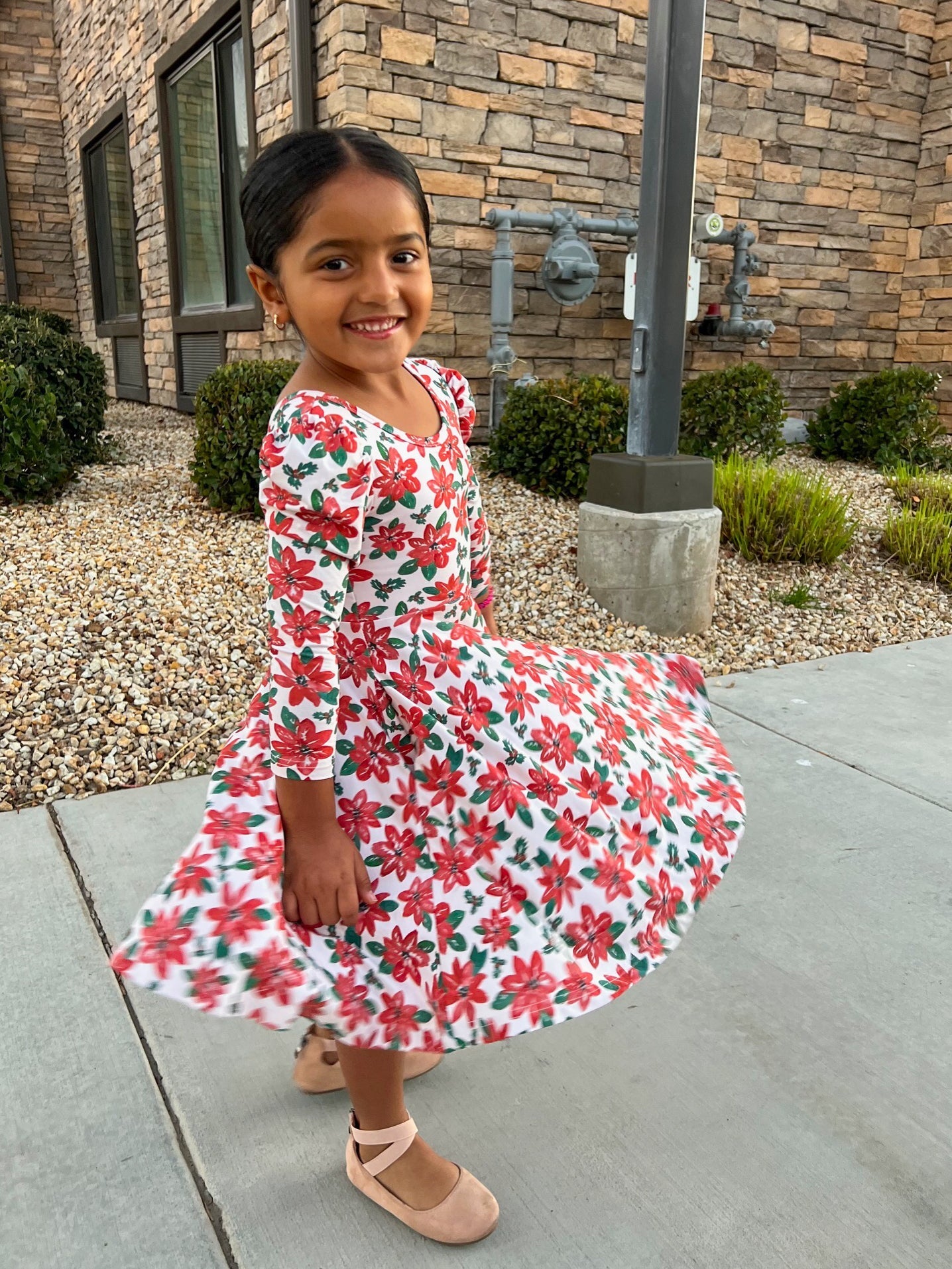 Poinsettias Puff Sleeve Twirl Dress