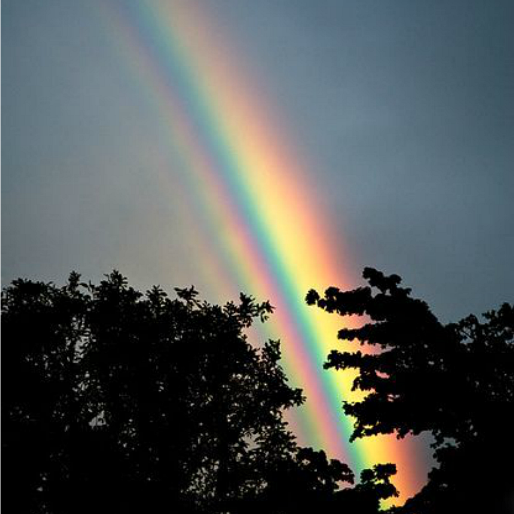 Rainbow Blessings by Wicked Good Perfume