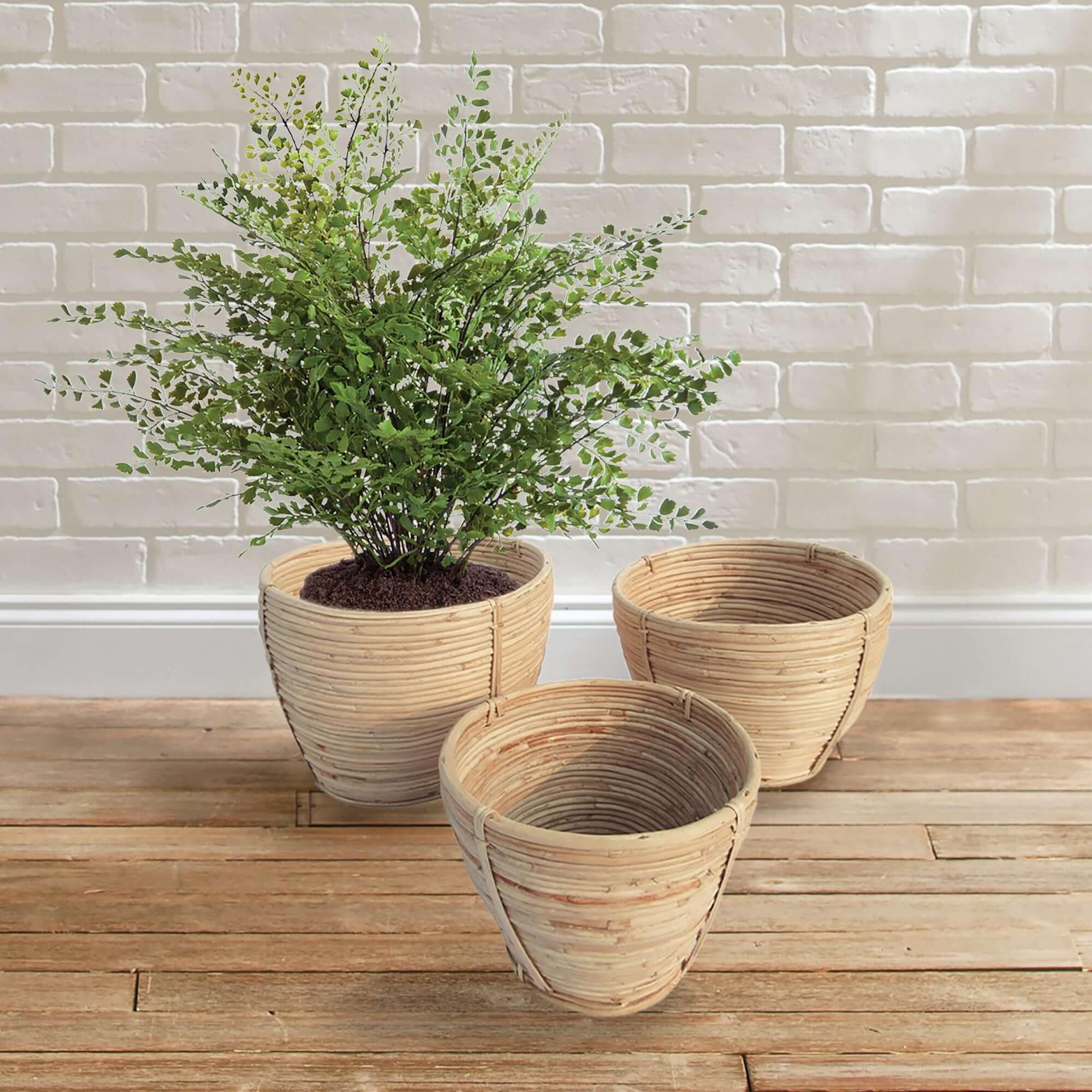Rattan Storage Baskets for Rustic Organization (Set of 3)