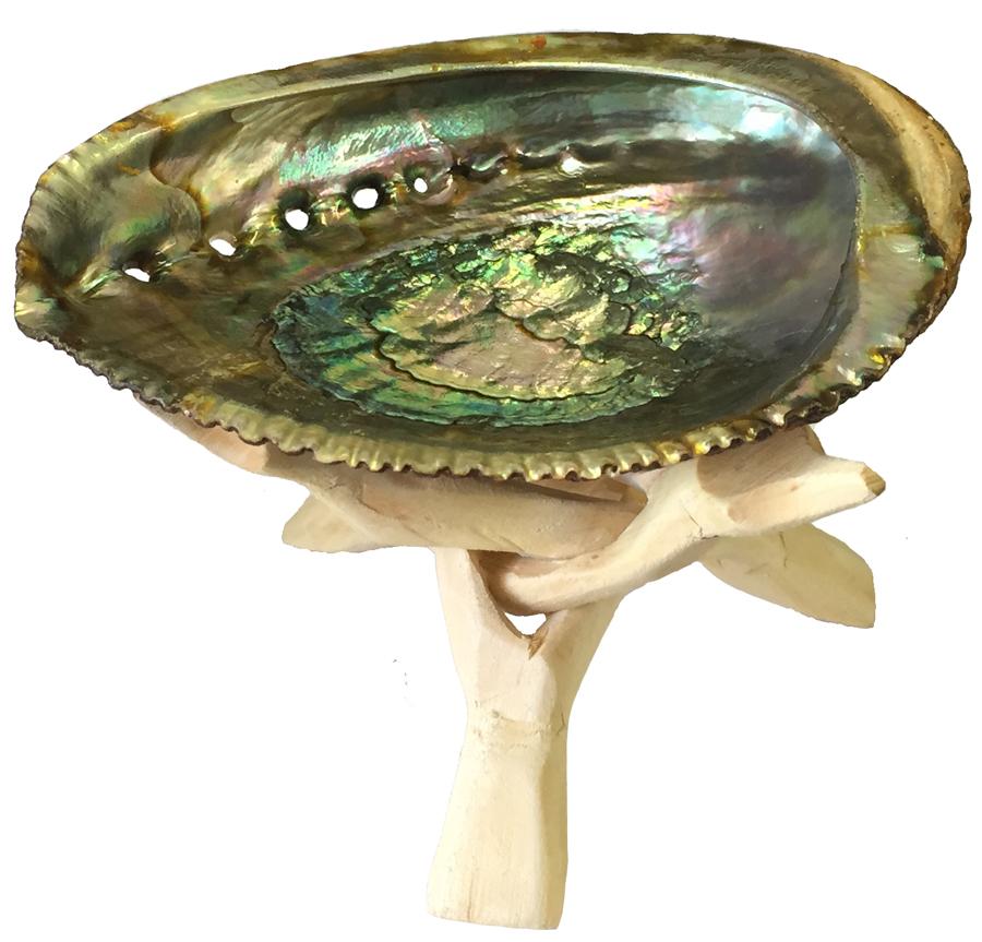 Abalone shell ash tray and combo by OMSutra