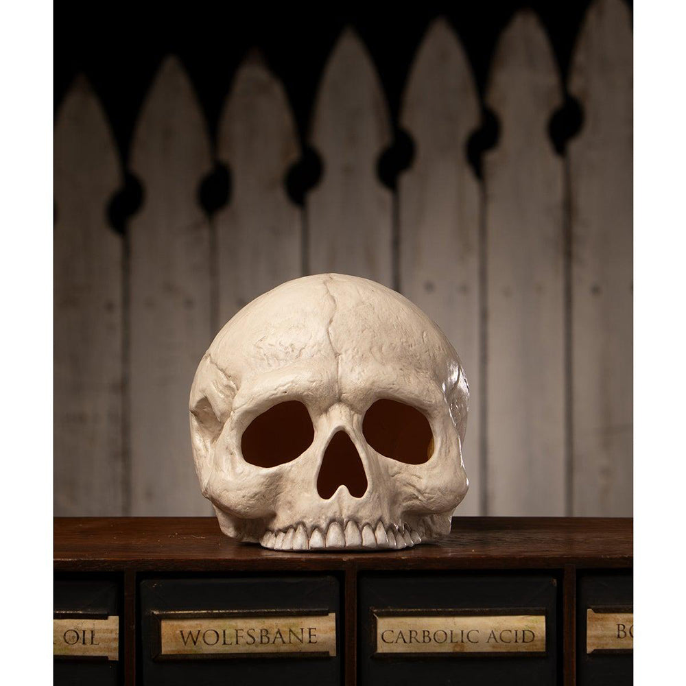 Skull Votive by Bethany Lowe Designs