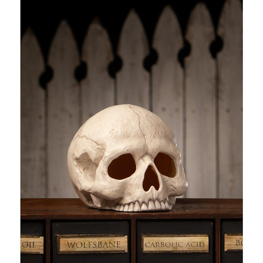 Skull Votive by Bethany Lowe Designs