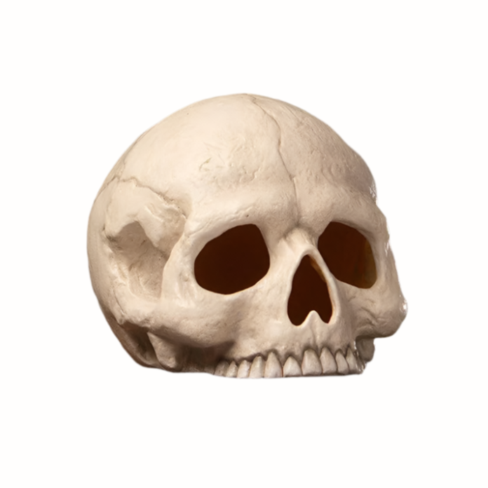 Skull Votive by Bethany Lowe Designs