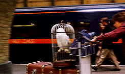 Platform 9 3/4 by Wicked Good Perfume