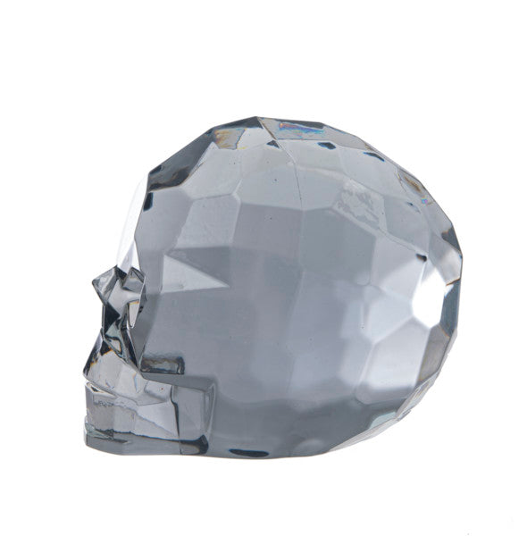 Acrylic Skull - Grey