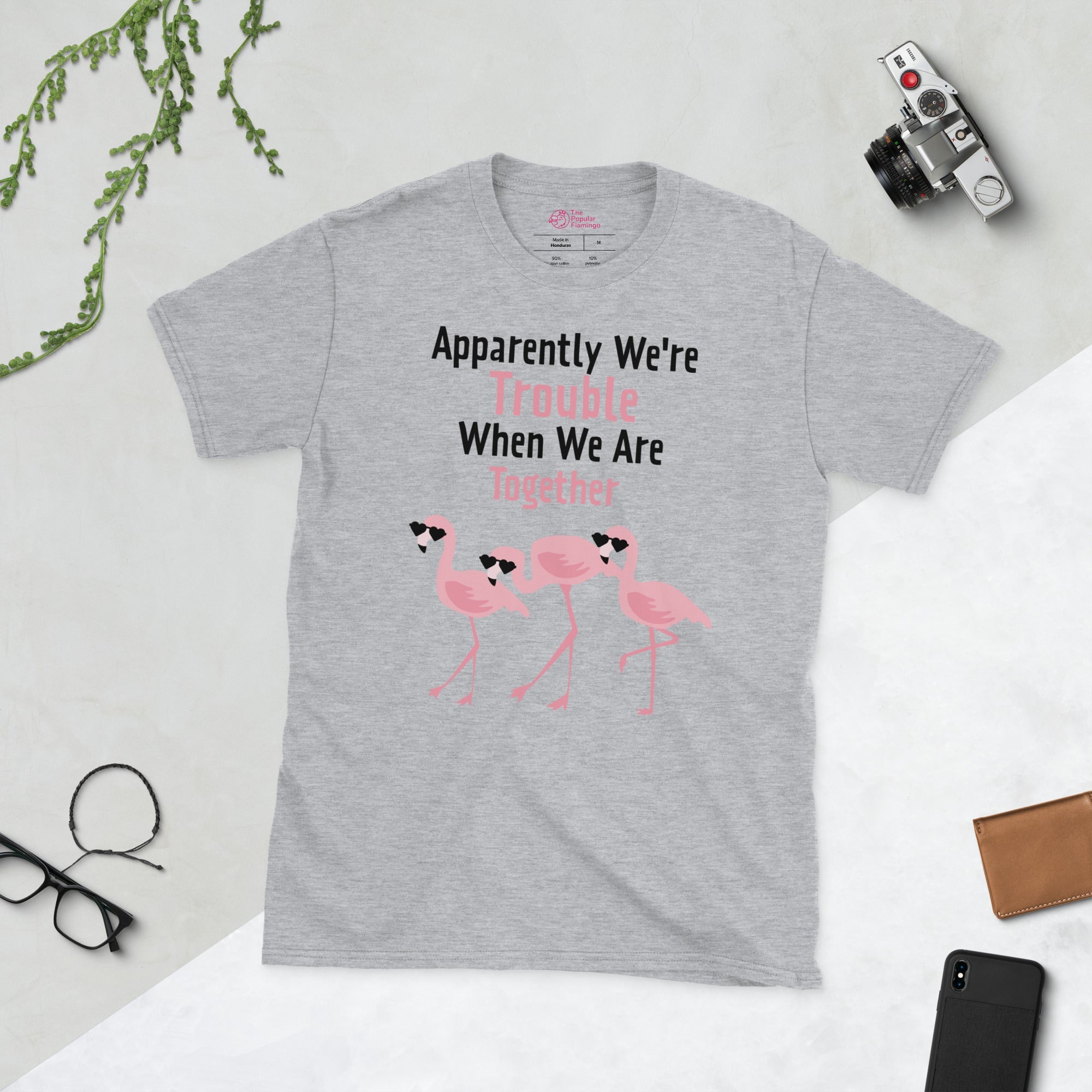 Apparently We're Trouble Flamingo T-Shirt