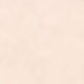 Coconut Cream Foundation + Brush – Cream-to-Powder Clean Foundation Set