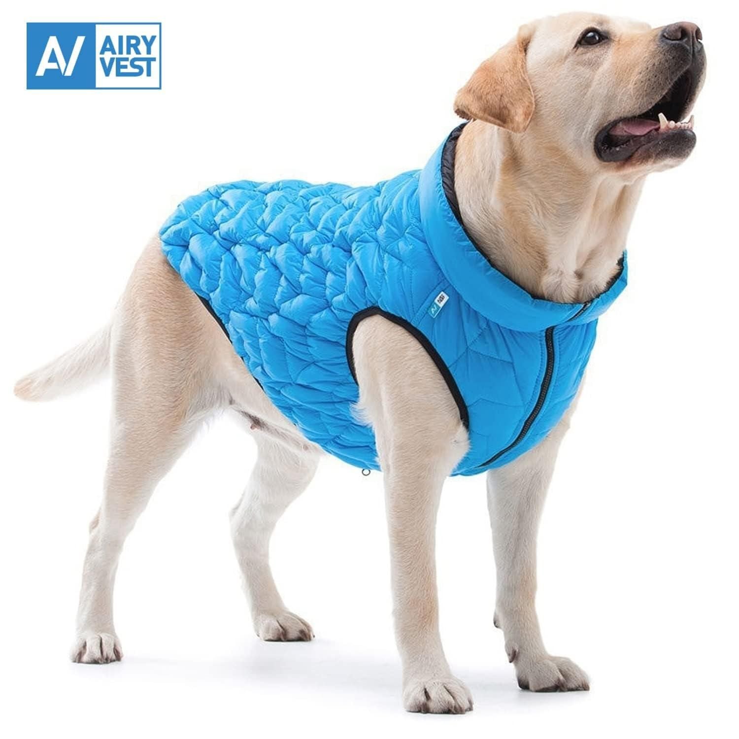 Winter Dog Coat XL Size Blue Lightweight Reversible Warm Dog Jacket Water Resistant Windproof Jacket Dog Coats for Large Dogs