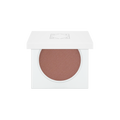 Blush - Winter Rose Glow