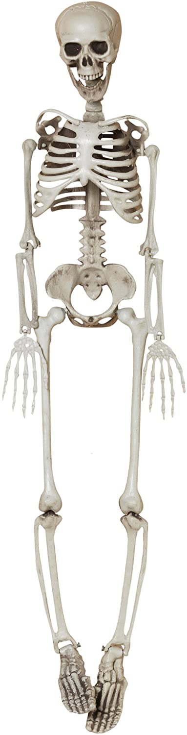 Hanging Plastic Skeleton - 3 Feet Tall