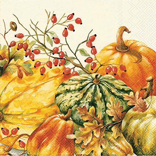 Calabaza Cream - Cocktail Napkin